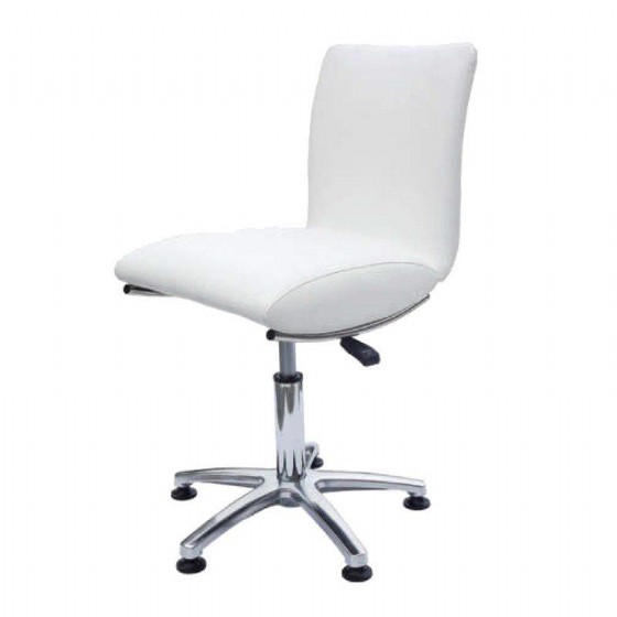 ��� ������/������ ��� C556 Chair for professionals