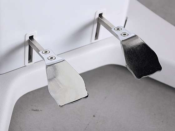 ���� ������� ������ ��� ����� ��� LADY EVE � ���� ����� ������