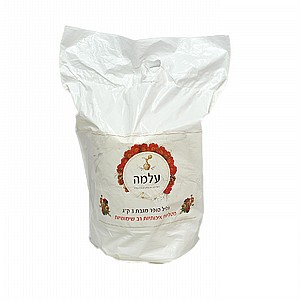 ���� �� ���� ���� 3 ���