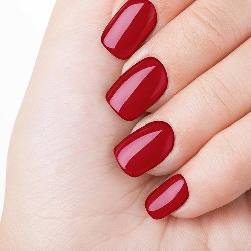 Gel Polish 504