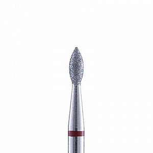 ��� ������ - ���� ���� 21 �"�