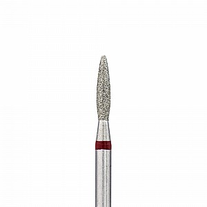 ��� ������ - ���� ���� 21 �"�