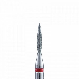 ��� ������ - ���� ��� ���� ���� 12 �"�