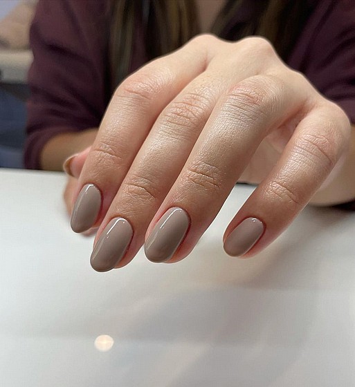 Shellac Field Fox �� �� ���������� ���� ���� ����� ���� ���� 15 �"�