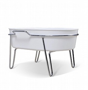 ���� ������ ������