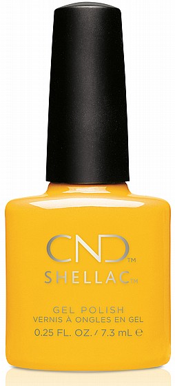 Shellac Banana Clips �� �� ���������� ���� ���� ���� ��� ����