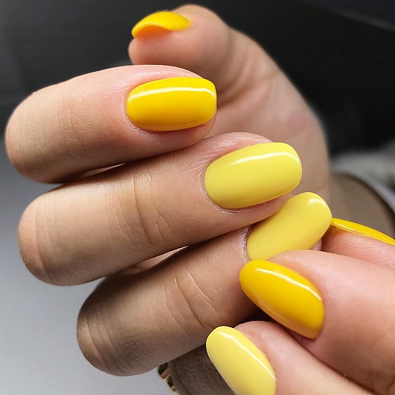 Shellac Banana Clips �� �� ���������� ���� ���� ���� ��� ����