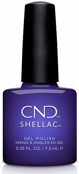 Shellac Jiggy �� �� ���������� ���� ���� ����� ������ �����