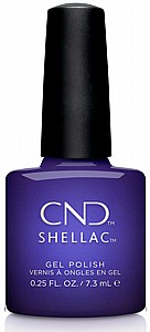 Shellac Jiggy �� �'� ���������� ���� ���� ����� ������ �����
