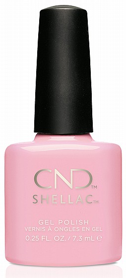 Shellac Be Demure-�� �� ���������� ���� ���� �� ����