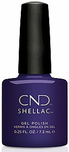 CND Eternal Midnight - �� �'� ���������� ���� ���� ���� ����� ����