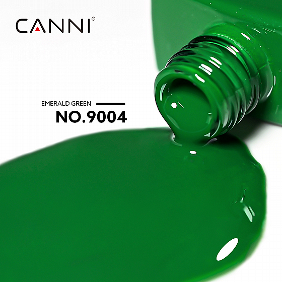 �� �� 9 �� | �� 9004 | ���� CC1 | ���� CANNI