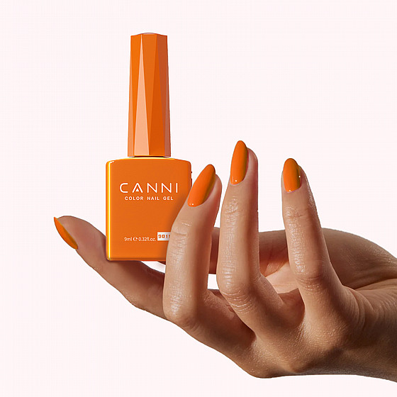 �� �� 9 �� | �� 9011 | ���� CC1 | ���� CANNI