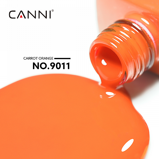 �� �� 9 �� | �� 9011 | ���� CC1 | ���� CANNI