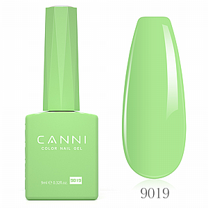 �� �� 9 �� | �� 9019 | ���� CC1 | ���� CANNI