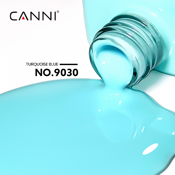 �� �� 9 �� | �� 9030 | ���� CC2 | ���� CANNI