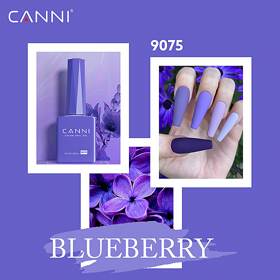 �� �� 9 �� | �� 9075 | ���� CC4 | ���� CANNI